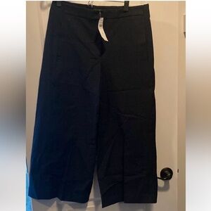 NWT Ann Taylor Navy Wide-Leg Pants Size 10